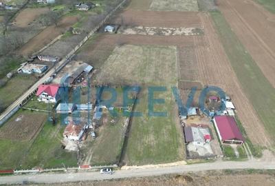 Teren de 4000 mp, în Bazga - 3