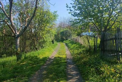 Teren de vis în Stejeriș – utilități, natură, acces rapid! - 5