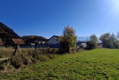 Lot de teren cu suprafata generoasa aproape de autostrada si drumul spre Bran Lot de teren cu suprafata generoasa aproape de autostrada si drumul spre Bran - 2