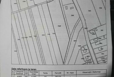 Spațiu comercial, în Săucești - 3