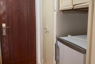 Garsonieră semidecomandată, mobilată în Mănăștur - 8