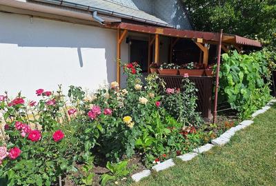 Casă în Perieni - 5