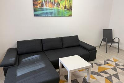 Apartament cu 2 camere decomandat, mobilat în Tineretului - 2