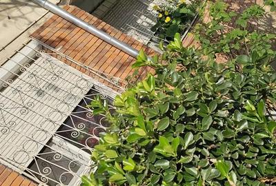 CONFORT 1 DiN CARAMIDA.Cantemir Oradea.Apart.2 camere Oradea,Cantemir,parter inalt,52 mp utili - 1