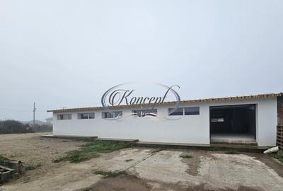 Hala la prima inchiriere, izolata termic, disponibila imedia - 24