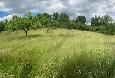 Spațiu comercial, în Dănești - 5