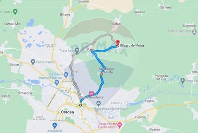 Teren Construcții intravilan de 2341 mp, în Uileacu de Munte - 8