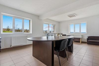 Teren de 43708 mp, în Scobâlțeni - 10