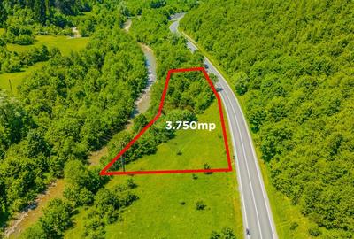 COMISION 0% Teren 3750mp / Sacele / DN1A / Poten?ial tu... - 4