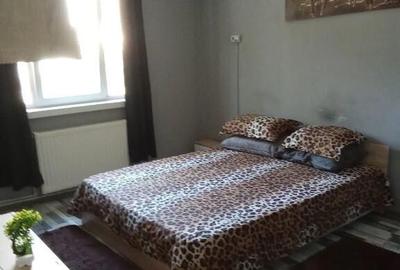 Garsonieră decomandată în Spitalul Județean - 3