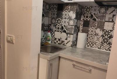 Garsonieră renovată pe Str. Londra, pet-friendly, 500 euro - 6