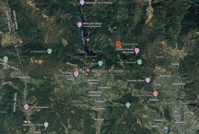 Teren 7 ha, Lac Vidraru, Podis Molivis - 5
