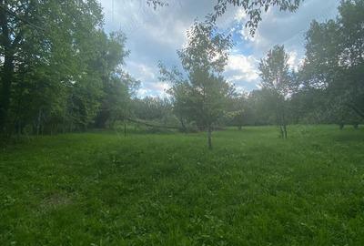 Vand teren Breaza 3325 mp Vand teren Breaza 3325 mp - 1