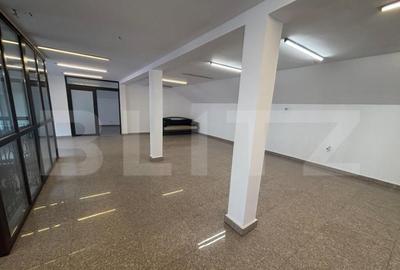 Spatiu de Inchiriat Pucioasa - 4