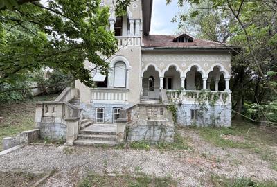 Casă individuală cu 6 camere cu Teren 10000 Mp în Caransebeș - 8