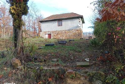 Casă cu 3 camere în Barațca - 11