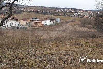 Teren 8000 mp, Borhanci, PUZ - 3