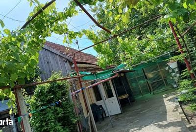 Casă cu 3 camere cu Teren 745 Mp în Sânandrei - 2