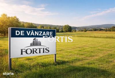 Spațiu comercial, în Sâmbăta de Sus - 1