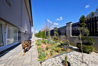 Casă cu 7 camere cu Teren 1000 Mp în Sântandrei - 17