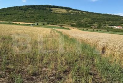 Teren de 2000 mp, în Șoimuș