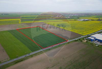 Teren 30,000mp Arad / Soseaua Centura Arad Nord - 3