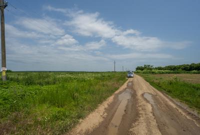 BALOTESTI - SAFTICA, TEREN INTRAVILAN 500 MP, DESCHIDERE 21 - 12