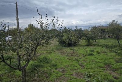 Casă cu 4 camere cu Teren 1917 Mp în Corbu - 6