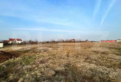 Teren de 1999 mp, în Central