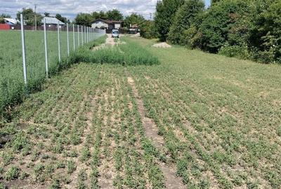 Spațiu comercial, în Ghighiu - 4