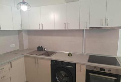 Apartament cu 2 camere decomandat, mobilat în Viilor - 4