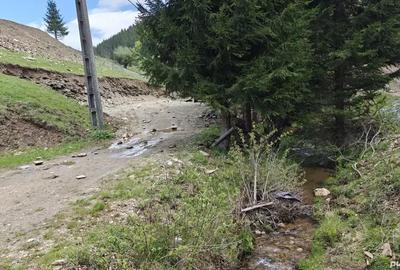 Teren de 1000 mp, în Băișoara - 7