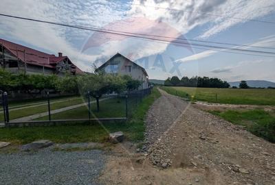 Teren intravilan de vanzare  2.444 mp - Targu Lapus - 5