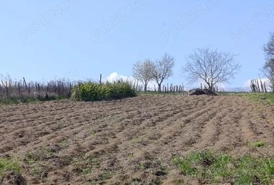 Casă în Ionășeni (Trușești) - 3