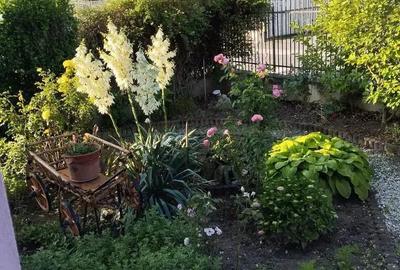 Casa singur in curte cartier Lazaret - 5