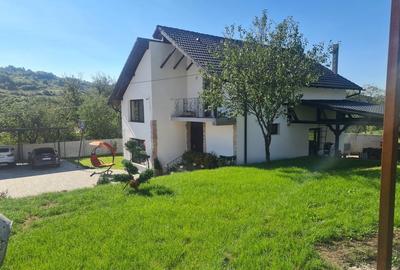 Casă cu 4 camere cu Teren 1750 Mp în Central - 8