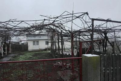 Casă cu Teren 1140 Mp în Străjescu - 4