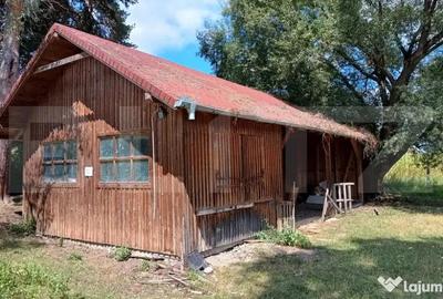 Casă cu 3 camere cu Teren 18449 Mp în Păingeni - 7