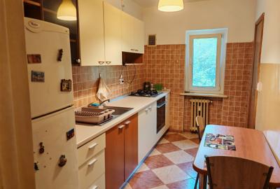 Apartament cu 2 camere decomandat, mobilat în Pajura - 11