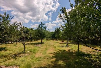 Casă individuală cu 12 camere cu Teren 12000 Mp în Exterior Vest - 13