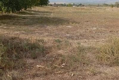 Teren Construcții intravilan de 4040 mp, în Câmpineanca
