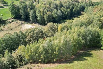 Teren intravilan, priveliste deosebita - 5