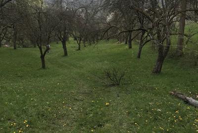 Spațiu comercial, în Berbești - 4