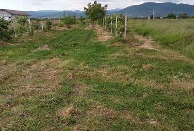 Teren de 1800 mp, în Recea - 2