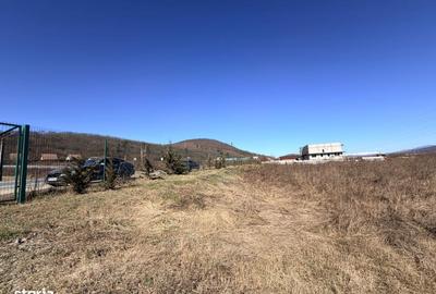 Teren de 9236 mp, în Șieu - 1