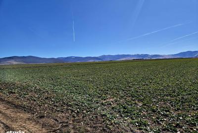 Spațiu comercial, în Prejmer - 6