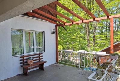 Casă cu Teren 6242 Mp în Central - 8