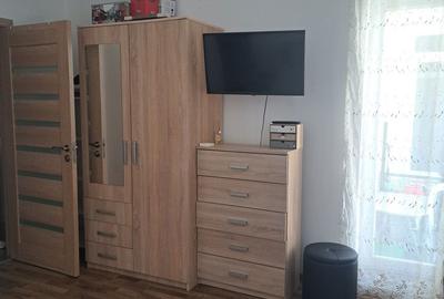 Garsonieră decomandată în Turnișor - 3