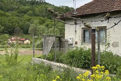 Casă cu 2 camere cu Teren 3350 Mp în Munteni - 1