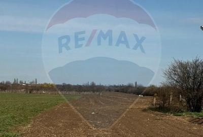 Teren de vanzare in  Giurgiu -  Soseaua Balanoaiei- iesire DN5B - 3